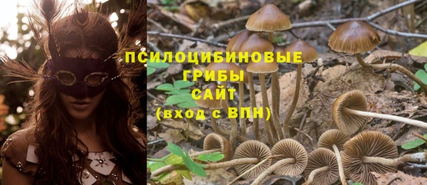синтетический гашиш Балахна