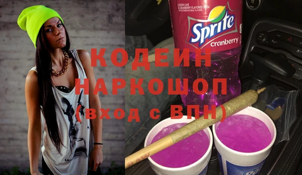 ешки Снежинск